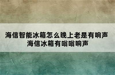 海信智能冰箱怎么晚上老是有响声 海信冰箱有嗡嗡响声